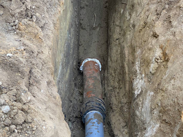 Best Flood restoration services  in Pagould, AR