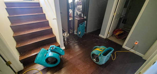 Best Fire Damage Restoration  in Pagould, AR