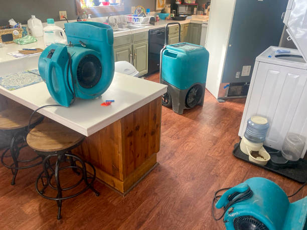 Best Water damage restoration near me  in Pagould, AR