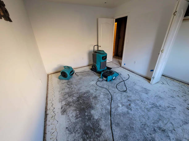 Best Commercial water damage restoration  in Pagould, AR
