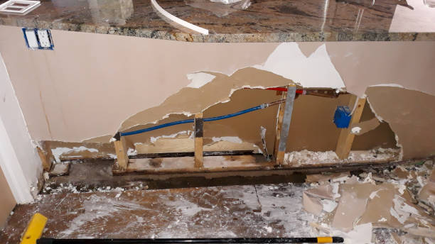 Best 24/7 water damage repair  in Pagould, AR