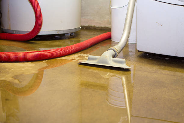 Best 24-hour water damage restoration  in Pagould, AR