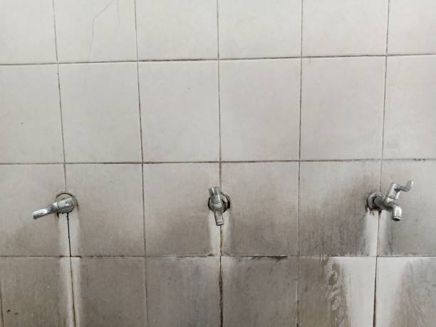 Best Sewage cleanup and water damage restoration  in Pagould, AR