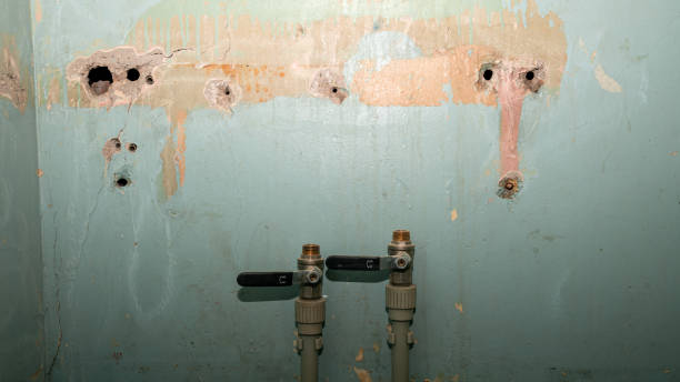Best Ceiling water damage repair  in Pagould, AR