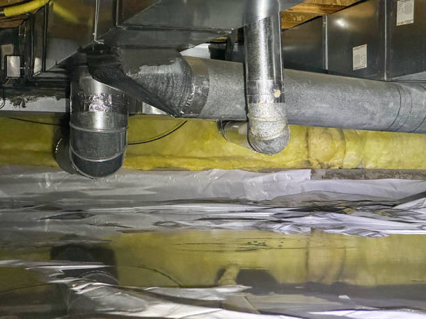 Best Water damage cleanup near me  in Pagould, AR