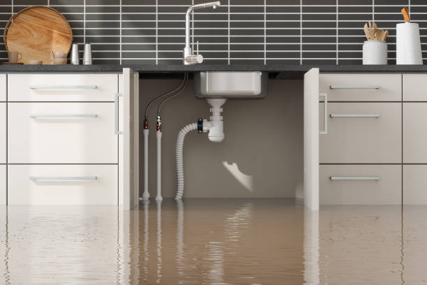  Pagould, AR Water damage restoration Pros