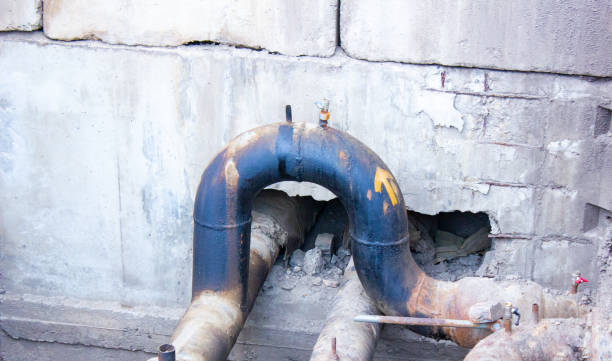 Best Professional water damage repair  in Pagould, AR