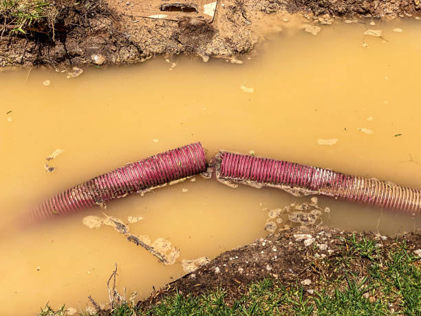Best Local water damage restoration  in Pagould, AR