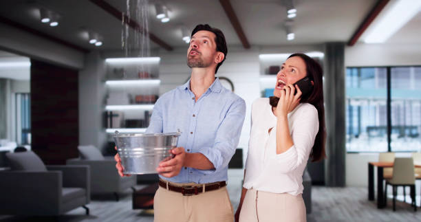 Best Flood damage cleanup  in Pagould, AR