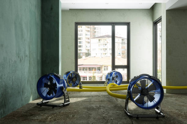 Best Basement water damage restoration  in Pagould, AR